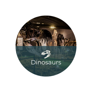 DINOSAURS